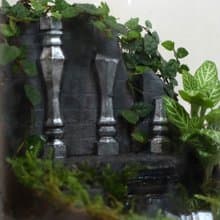 【微景觀】蔓時光遺址 - 室內植物/生日禮物/遺跡/冒險