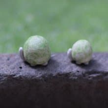 小烏龜