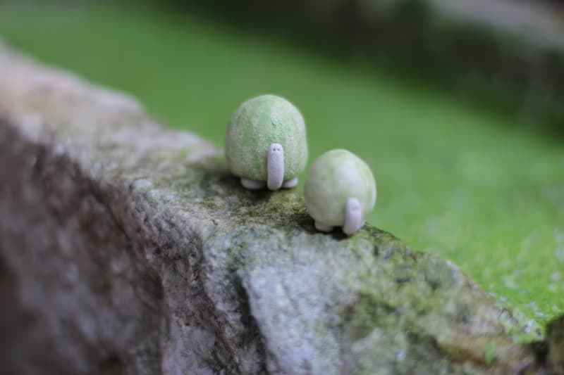 小烏龜