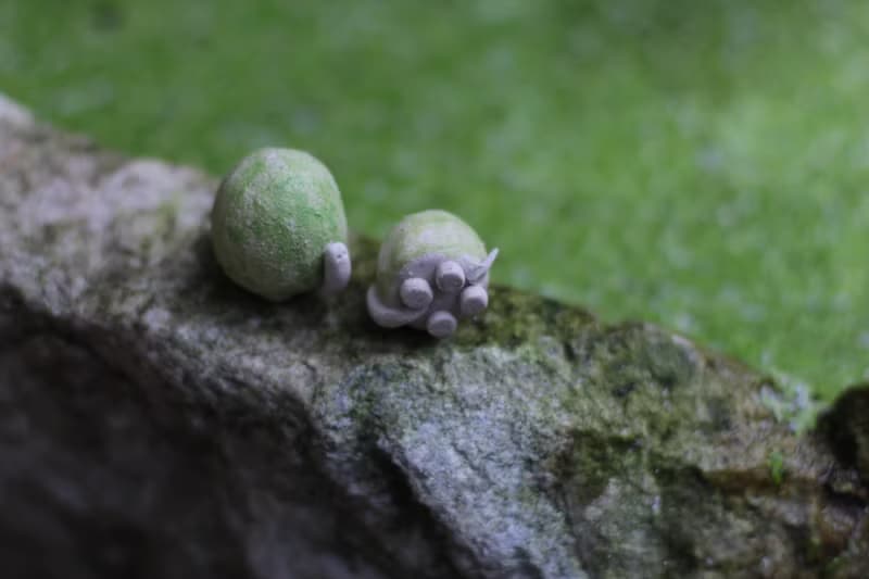 小烏龜