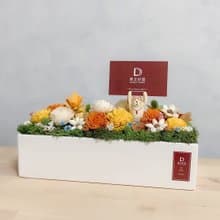 \公仔盆花/ 貓咪盆花-乾燥花盆花-開店祝賀-擺設-貓咪-名片架