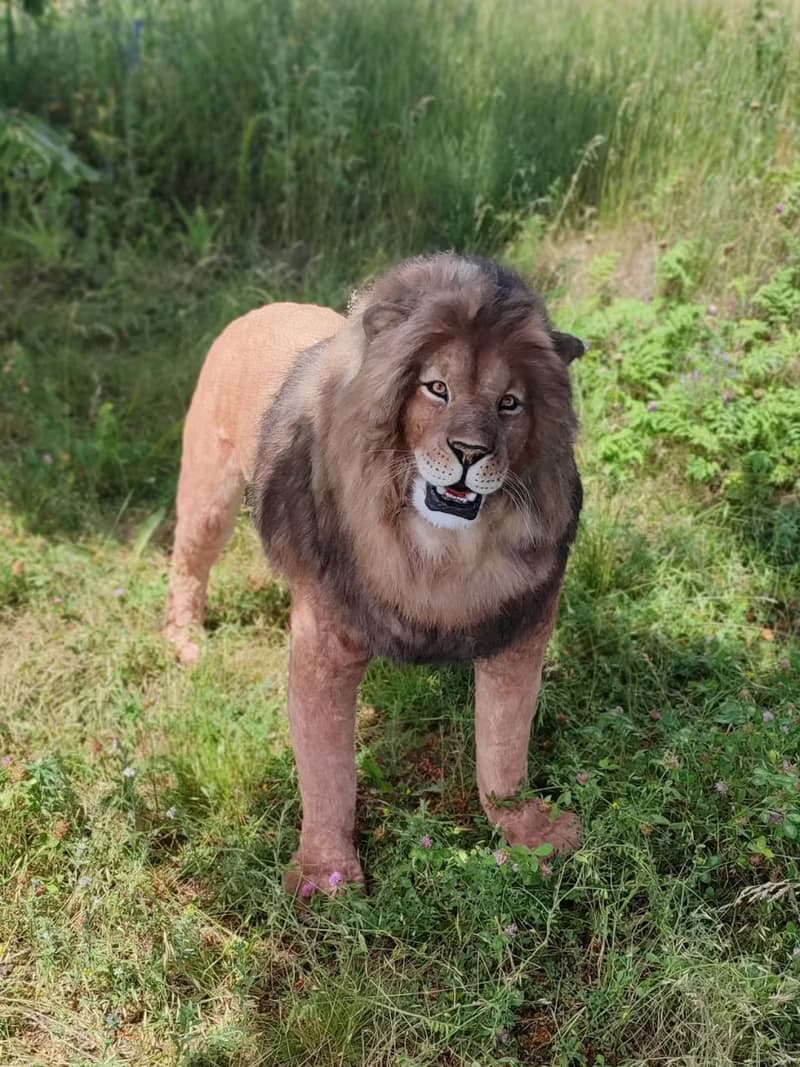 亞洲獅子野生動物野貓逼真藝術娃娃人造毛絨野貓家居裝飾