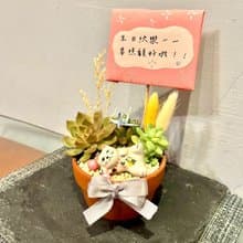 台中多肉組盆 多肉植物 日式枯山水 招財貓咪 日本 療癒盆栽 禮物