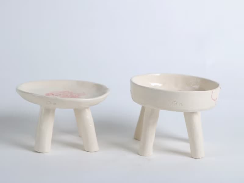 / 寵物碗 訂做/  訂製區