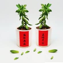 獨家組合-迷你春聯 祝福貼紙 福杯滿溢 主賜平安 1全張12小張