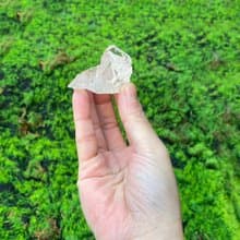 能量擺飾-精選天然冰透幾何白水晶原石 淨化 療癒 能量