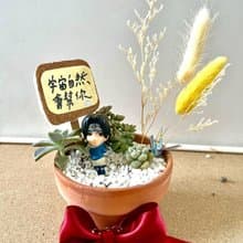 台中多肉組盆 多肉植物 日式枯山水 微景觀 火影忍者 宇智波 佐助
