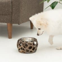 Eaten Cabbage  ペットボウル　食器スタンド　小型犬　中型犬　ネコ　陶器