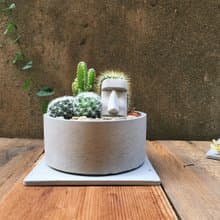 |摩艾綠意花園| 迷你仙人掌造景DIY【不含植物與土壤】