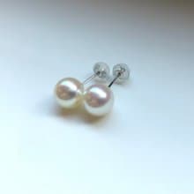 High quality Akoya pearl earring np sea pearl