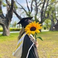 畢業向日葵巨大毛根花束