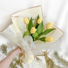 陽光情人 鬱金香鮮花花束/進口荷蘭鬱金香/色系可更換