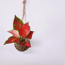 極紅亞曼尼粗肋草苔球│室內植物│窗邊植物│觀葉植物