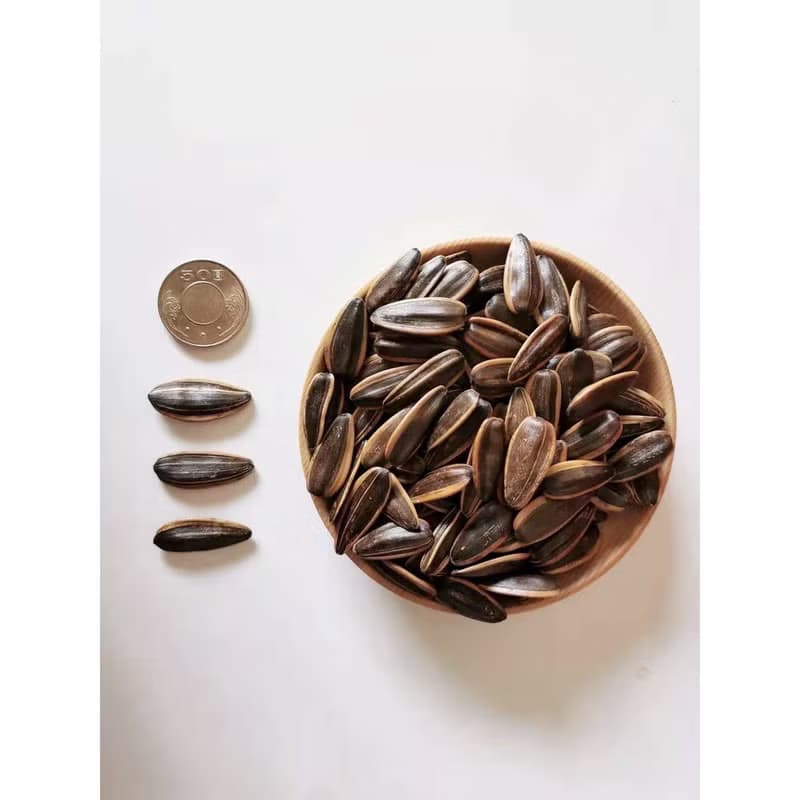 養生零嘴 | 葵瓜子禮盒 | 茶煮焦糖口味 年節伴手禮 獨立小包裝