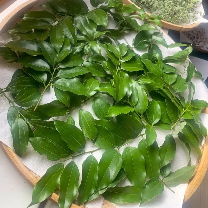 土肉桂花茶包-農園4種純淨香草-土肉桂+檸檬香茅+芳香萬壽菊+甜菊
