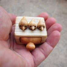 一個帶小鳥兒家族的微型抽屜。一個帶小鳥兒家族的微型抽屜。