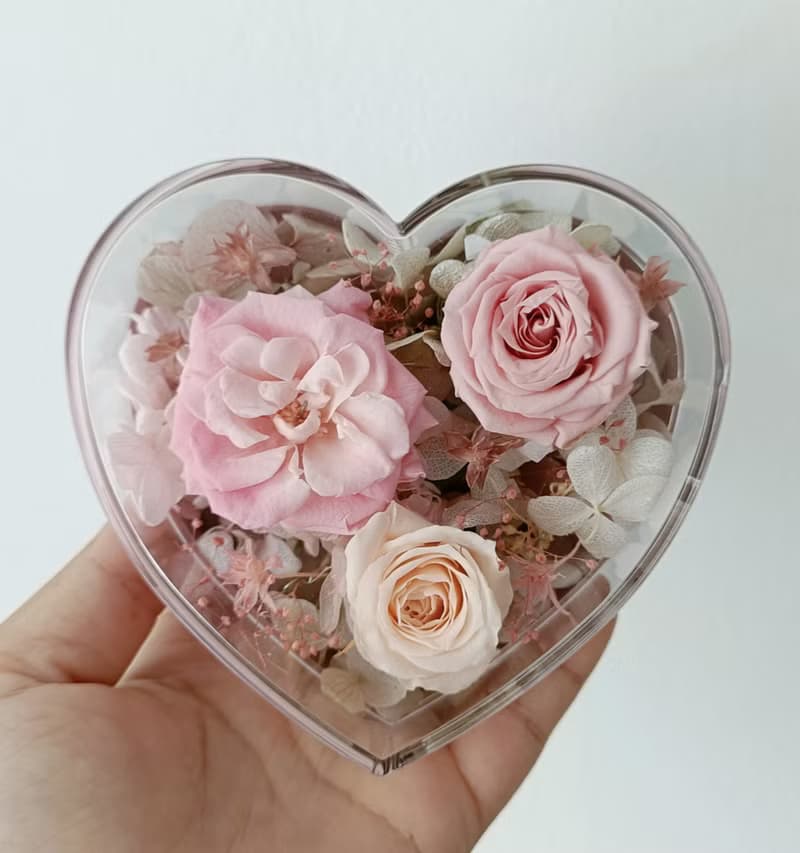 粉桃喜愛心玻瑰花 結婚捧花永生乾燥花畢業謝師禮物生日畢業禮物