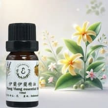 花香調純精油 100%單方精油 依蘭依蘭 10ml/50ml 贈玫瑰擴香石