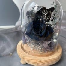 【情人節禮物】flower-of-life 午夜藍黑玻璃罩 日本永生玫瑰