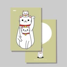 原創明信片/三招財貓_達摩白貓V2/原創插畫/貓咪/文創卡片