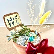 龍貓 小梅 台中 多肉組盆 多肉盆栽 多肉植物 生日送禮 聖誕禮物