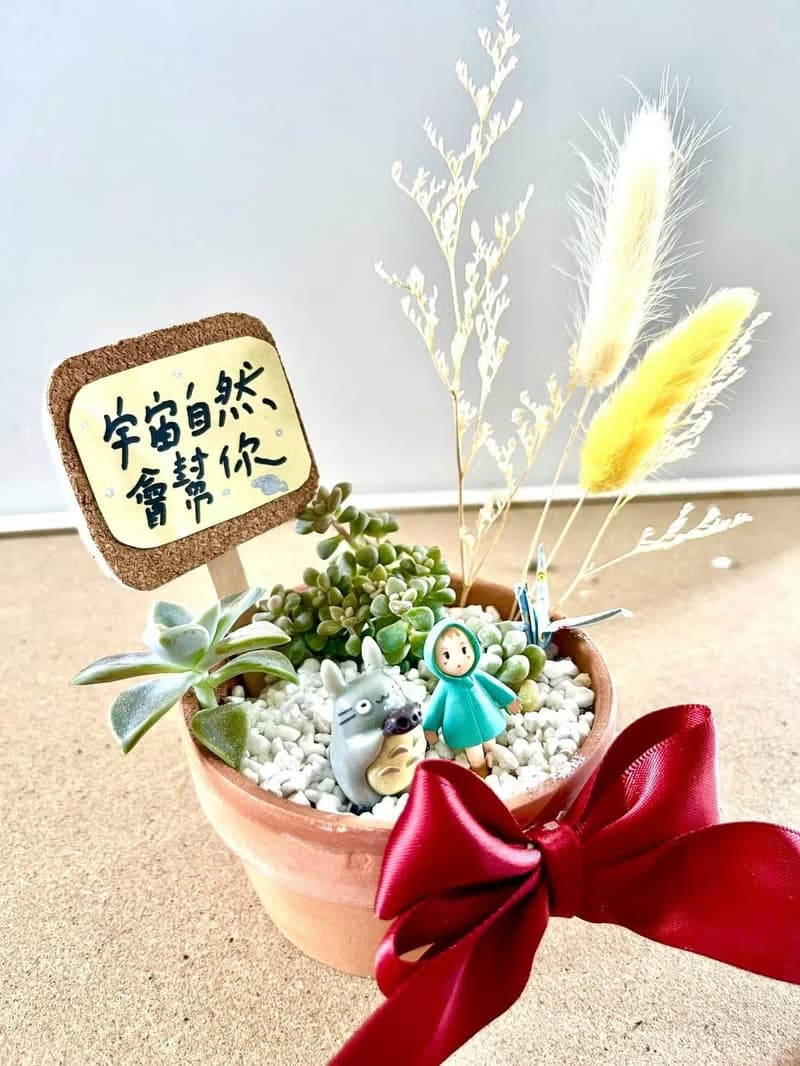 龍貓 小梅 台中 多肉組盆 多肉盆栽 多肉植物 生日送禮 聖誕禮物