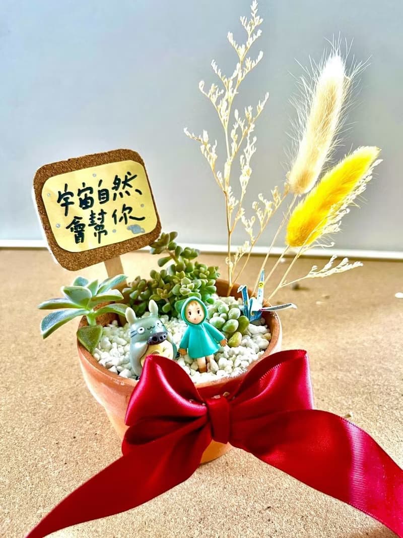 龍貓 小梅 台中 多肉組盆 多肉盆栽 多肉植物 生日送禮 聖誕禮物