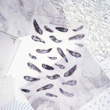 【深海魚毛】和紙 水彩 插畫 手帳貼紙 搞笑 海洋生物 奇怪