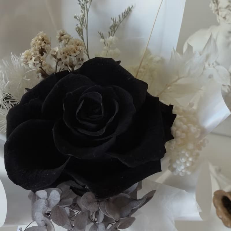 SEE 看見花藝設計 | 永生花 | 玫瑰 | 黑色單朵玫瑰花束