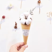 棉花小甜筒花束   乾燥花 送禮 母親節 辦公桌擺設 擺飾 畢業禮物