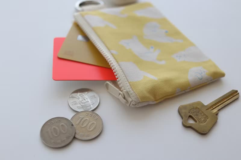 big big cat coin card pouch - one day (yellow)