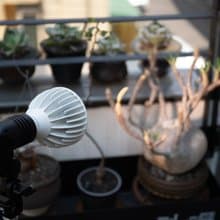 Alyna全光譜植物燈30W/植物生長燈燈架/男生禮物