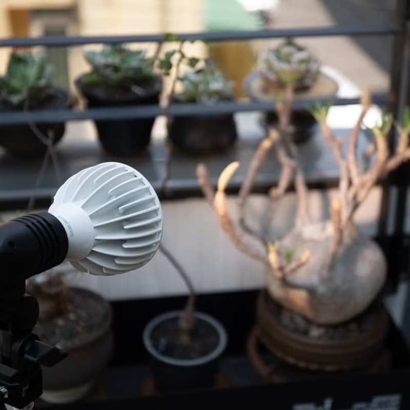 Alyna全光譜植物燈30W/植物生長燈燈架/男生禮物