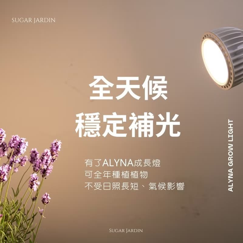 Alyna全光譜植物燈30W/植物生長燈燈架/男生禮物