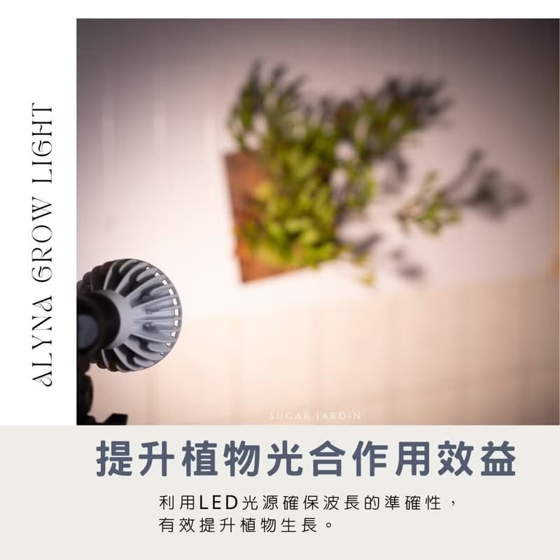 Alyna全光譜植物燈30W/植物生長燈燈架/男生禮物
