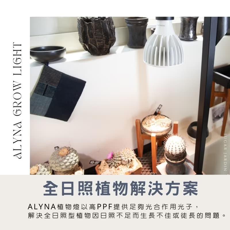 Alyna全光譜植物燈30W/植物生長燈燈架/男生禮物