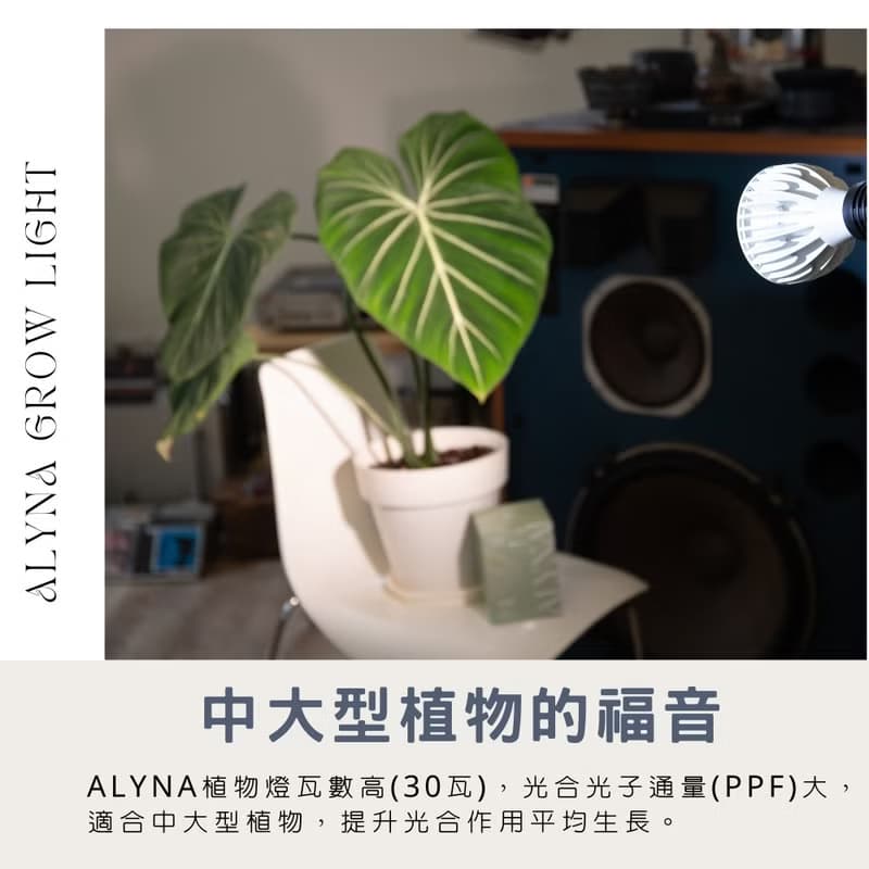 Alyna全光譜植物燈30W/植物生長燈燈架/男生禮物
