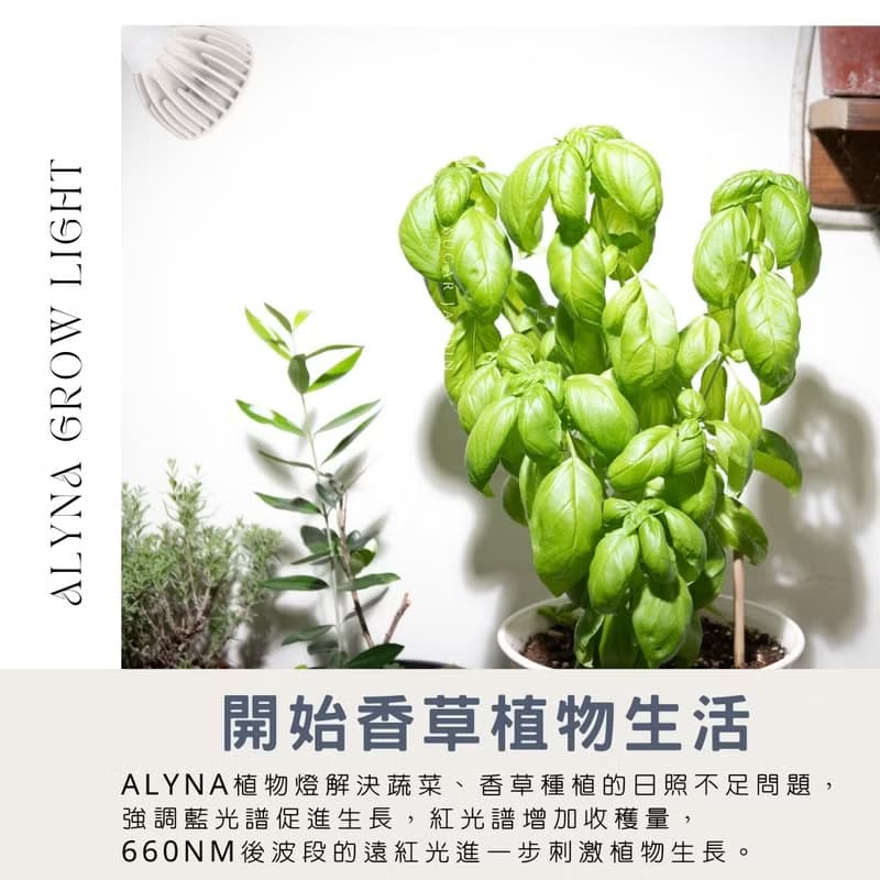 Alyna全光譜植物燈30W/植物生長燈燈架/男生禮物