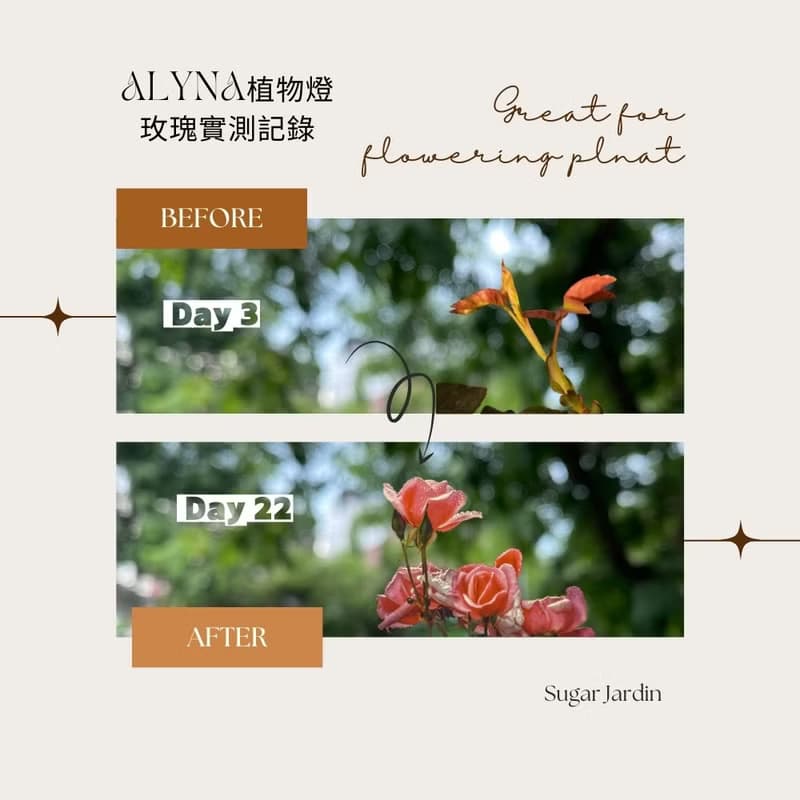 Alyna全光譜植物燈30W/植物生長燈燈架/男生禮物