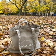 韓國 The Ally | CLAIR ECO BAG | 帆布袋 | 全灰 | 環保袋 手袋