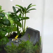 【微景觀】滑麗登場 - 滑板/微景觀/室內盆栽/生日禮物