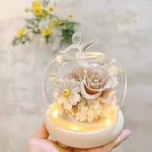 奶茶色/多種顏色/蘋果/永生花/乾燥花/夜燈/玻璃盅/玻璃罩