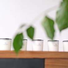 TINGS Aroma 經典香氛蠟燭