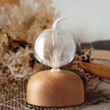 【贈精油】泡泡擴香儀 |無水擴香|禮贈|畢業禮物