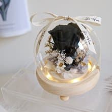 (燈款) 神秘黑-永生花玻璃花球