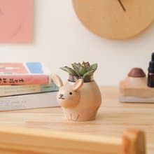 【兔子】樸實原木 盆器 多肉盆栽罐 不含植物 | 1251048 蒔光