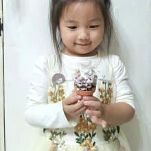 【DIY材料包】親子松果盆花盆栽 開幕店面居家佈置離職退休手作課