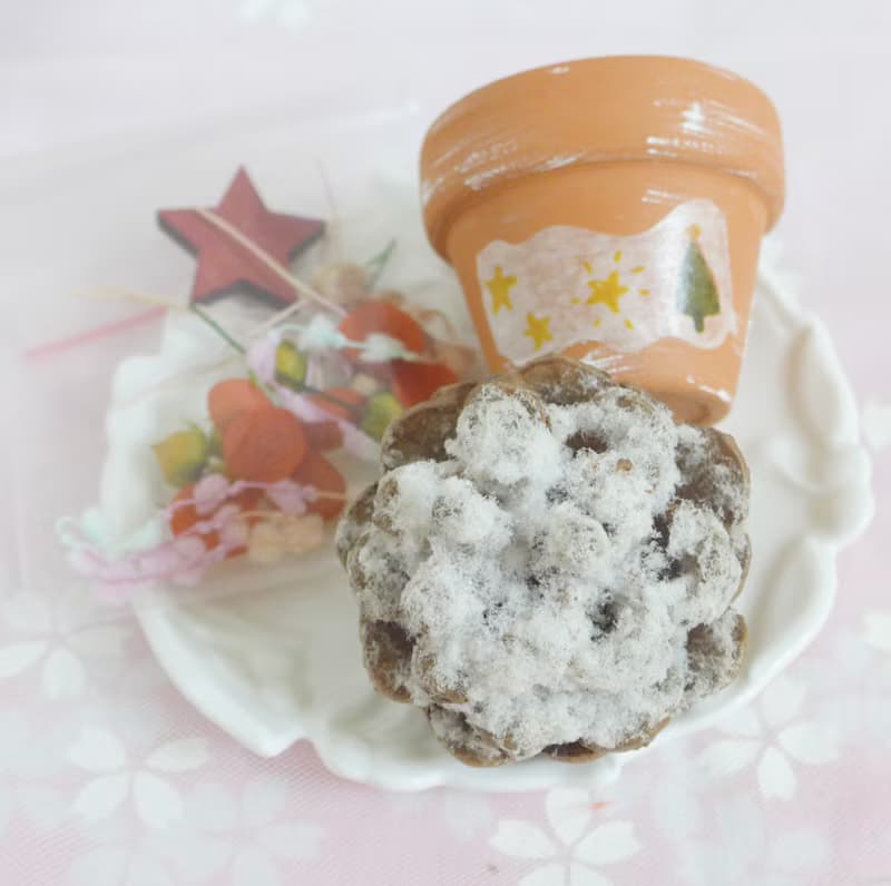 【DIY材料包】親子松果盆花盆栽 開幕店面居家佈置離職退休手作課