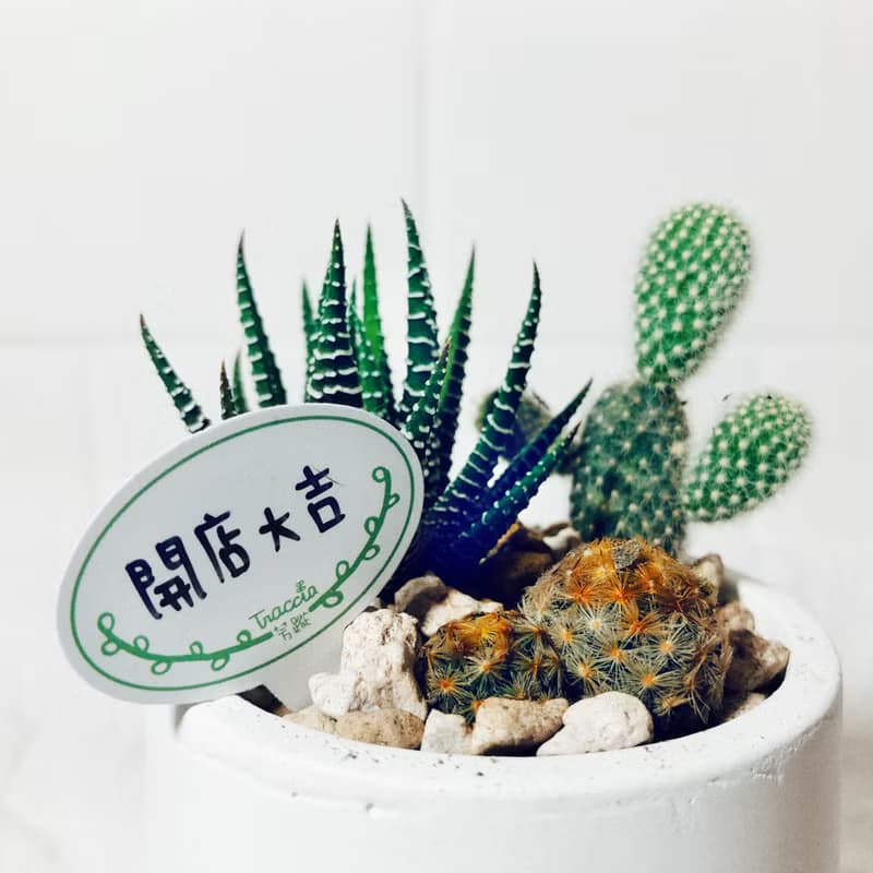 純粹系列-圓形泥盆/質感白