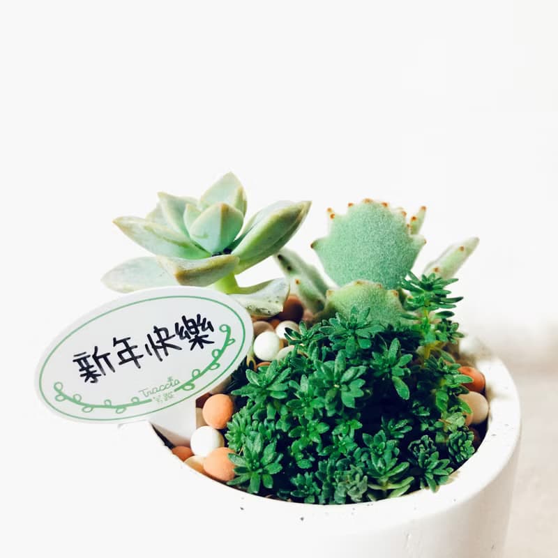 純粹系列-圓形泥盆/質感白